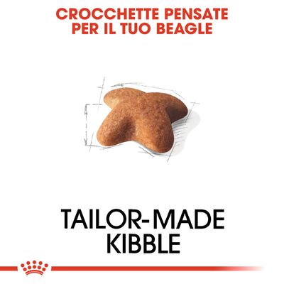 Royal Canin Beagle Adult 3kg - Crocchette per Cani Royal Canin Beagle Adult 3kg - Crocchette per Cani